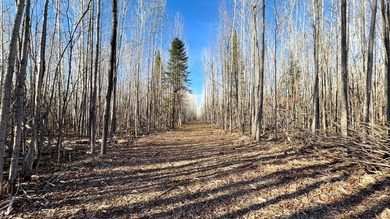 Seller financing is available with a Contract for Deed. Located - photo 2