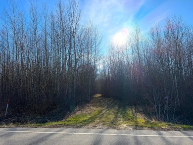 Seller financing is available with a Contract for Deed. Located - photo 6