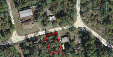 (private lake, pond, creek) Lot For Sale in Silver Springs Florida