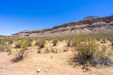Discover an exceptional opportunity to own 14.39 acres in the - photo 6