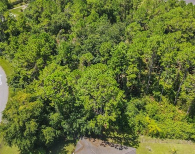 BUILD YOUR FLORIDA DREAM HOME HERE ON THIS DUPLEX ZONED LOT IN - photo 11