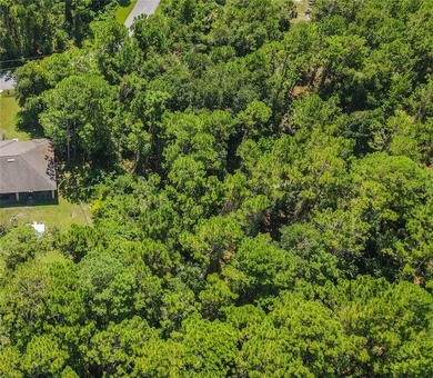 BUILD YOUR FLORIDA DREAM HOME HERE ON THIS DUPLEX ZONED LOT IN - photo 14