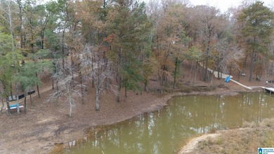 Discover the perfect setting for your future home at 3 Rising - photo 17