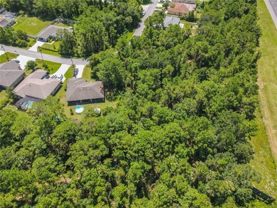 BUILD YOUR FLORIDA DREAM HOME HERE ON THIS DUPLEX ZONED LOT IN - photo 17