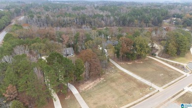 Discover the perfect setting for your future home at 3 Rising - photo 21