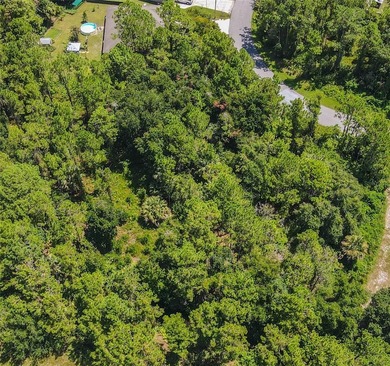 BUILD YOUR FLORIDA DREAM HOME HERE ON THIS DUPLEX ZONED LOT IN - photo 32