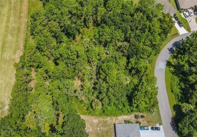 BUILD YOUR FLORIDA DREAM HOME HERE ON THIS DUPLEX ZONED LOT IN - photo 39
