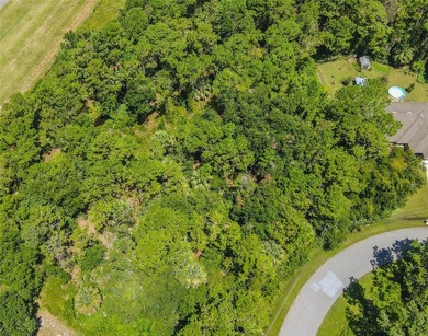 BUILD YOUR FLORIDA DREAM HOME HERE ON THIS DUPLEX ZONED LOT IN - photo 42