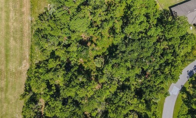 BUILD YOUR FLORIDA DREAM HOME HERE ON THIS DUPLEX ZONED LOT IN - photo 44