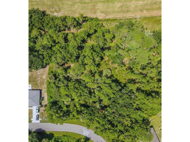 BUILD YOUR FLORIDA DREAM HOME HERE ON THIS DUPLEX ZONED LOT IN - photo 46