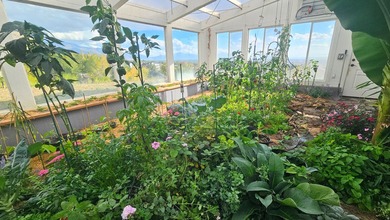 PRICED AT APPRAISAL VALUE! Appraisal is available upon showing - photo 48