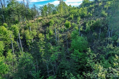 SPECTACULAR MOUNTAIN VIEWS of the Rumbling Bald Mountain range - photo 5