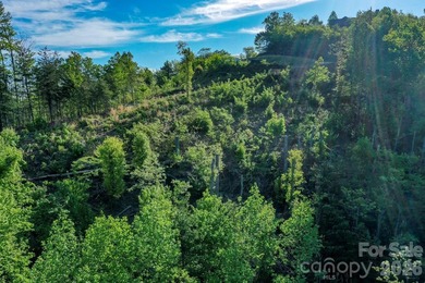 SPECTACULAR MOUNTAIN VIEWS of the Rumbling Bald Mountain range - photo 6