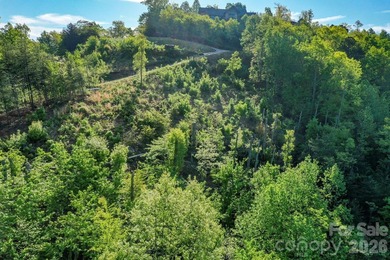 SPECTACULAR MOUNTAIN VIEWS of the Rumbling Bald Mountain range - photo 7