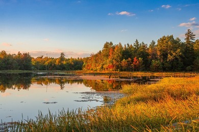 Lake Palestine Ranch is a rare offering, being the largest - photo 2