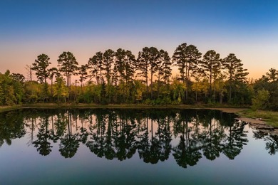 Lake Palestine Ranch is a rare offering, being the largest - photo 6