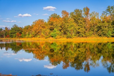 Lake Palestine Ranch is a rare offering, being the largest - photo 9