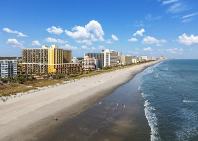 Enjoy breathtaking direct oceanfront views from this fully - photo 34