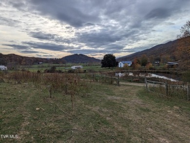 North Fork Holston River Acreage For Sale in Hiltons Virginia