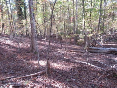Lake Hartwell Lot For Sale in Westminster South Carolina