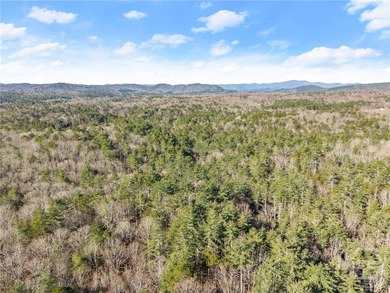 Back on Market now reduced! Introducing an exceptional North - photo 12