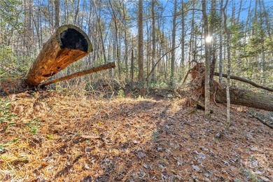 Back on Market now reduced! Introducing an exceptional North - photo 26