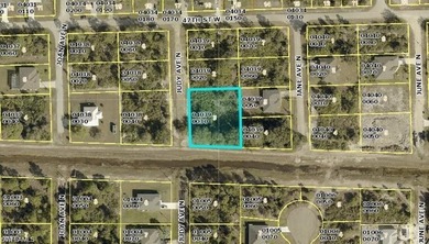 Lehigh Acres Area Lot For Sale in Lehigh Acres Florida