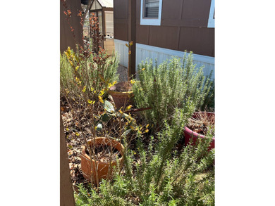 JUST REDUCED!!! Ready for immediate occupancy. Fantastic 2 BR/2 - photo 4