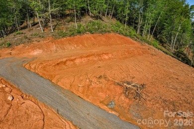 VISTA @ BILLS MOUNTAIN.......Unbelievable panoramic views from - photo 8