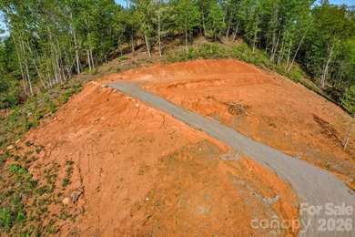 VISTA @ BILLS MOUNTAIN.......Unbelievable panoramic views from - photo 9