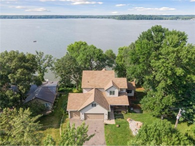 Lake Home For Sale in Wyanett Twp, Minnesota