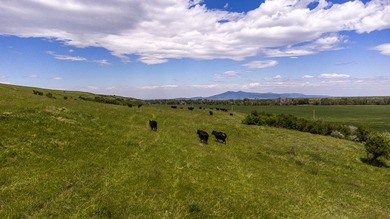 In the foothills of the Snowy Mountains, just 8 miles from town - photo 3