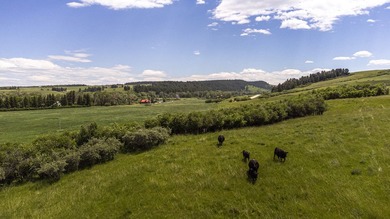 In the foothills of the Snowy Mountains, just 8 miles from town - photo 4
