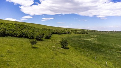 In the foothills of the Snowy Mountains, just 8 miles from town - photo 8