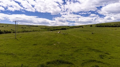 In the foothills of the Snowy Mountains, just 8 miles from town - photo 9