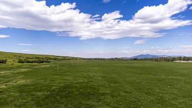 In the foothills of the Snowy Mountains, just 8 miles from town - photo 10