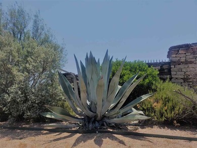 Beautiful lot in an amazing subdivision with a fantastic - photo 2