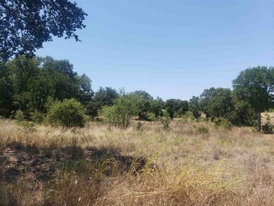 Beautiful lot in an amazing subdivision with a fantastic - photo 3
