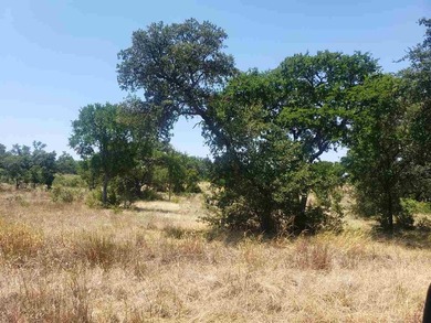 Beautiful lot in an amazing subdivision with a fantastic - photo 5