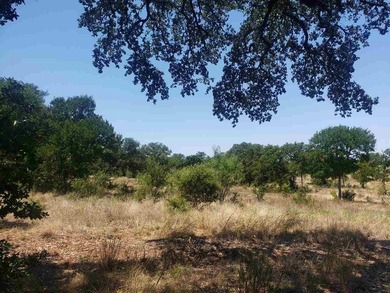 Beautiful lot in an amazing subdivision with a fantastic - photo 6