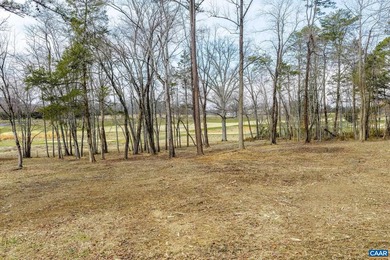 Set within the gated community of Keswick Estate, this 2.3-acre - photo 10