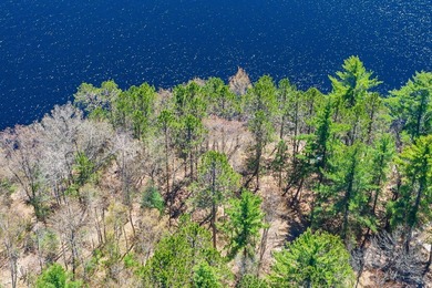 A rare chance to own the BEST of both worlds in the Northwoods! - photo 12