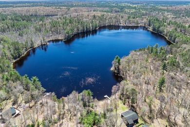A rare chance to own the BEST of both worlds in the Northwoods! - photo 14