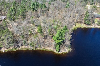 A rare chance to own the BEST of both worlds in the Northwoods! - photo 19