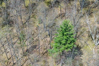 A rare chance to own the BEST of both worlds in the Northwoods! - photo 23