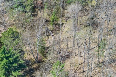A rare chance to own the BEST of both worlds in the Northwoods! - photo 24