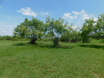Acre Lot with Water View! SOLD - Lake Lot SOLD! in Corsicana, Texas