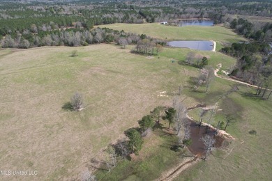 Experience the essence of cattle ranching on this expansive - photo 9