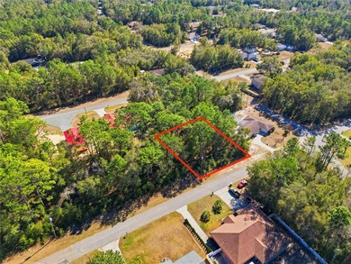 Vacant 0.28-acre residential lot located in the Citrus Springs - photo 1