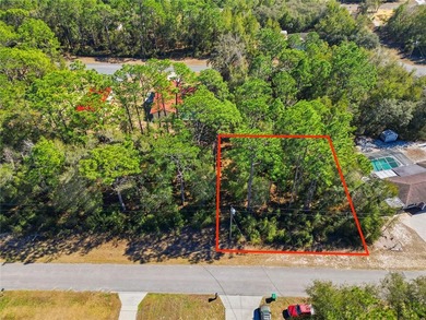Vacant 0.28-acre residential lot located in the Citrus Springs - photo 2